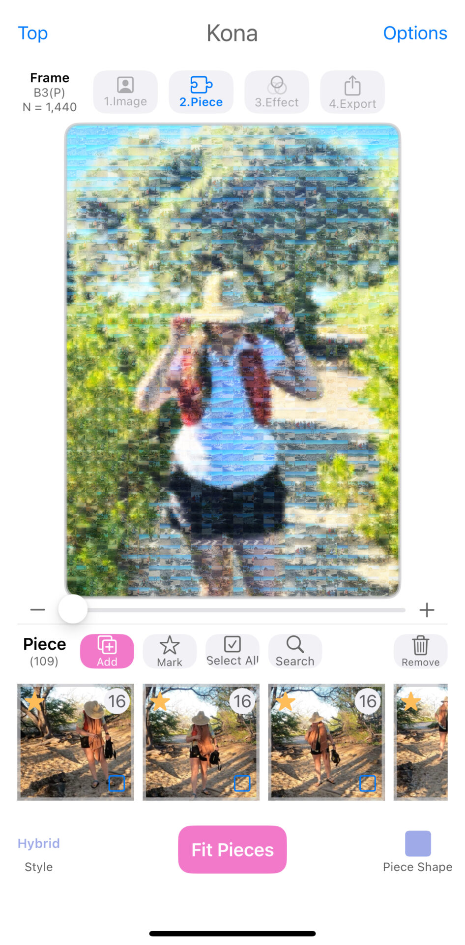 Purchase and Export High Resolution Mosaics - Sola of America, Inc.